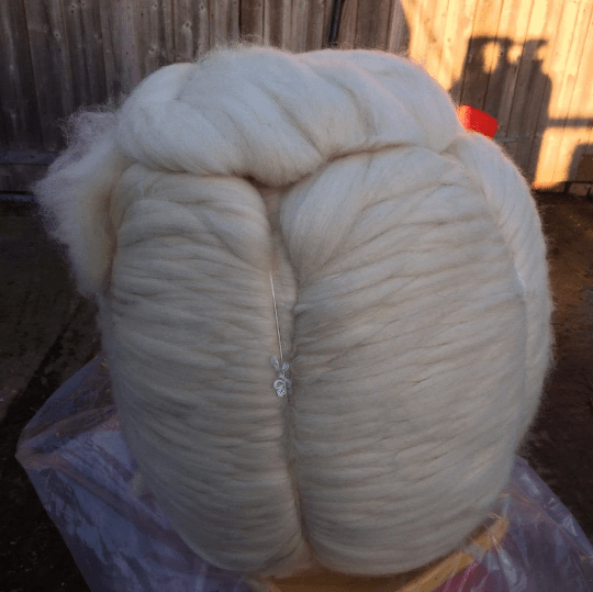 Undyed BFL Top 1kg