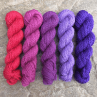 Yorkshire Berries pack of 5 mini skeins of 4ply yarn, each 20g/60m, in berry shades of purples and red