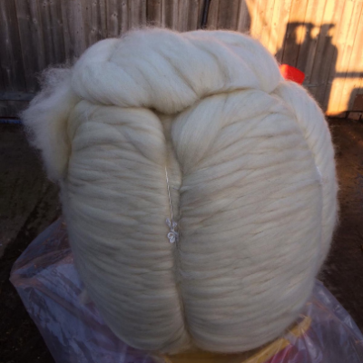 Undyed BFL top 500g