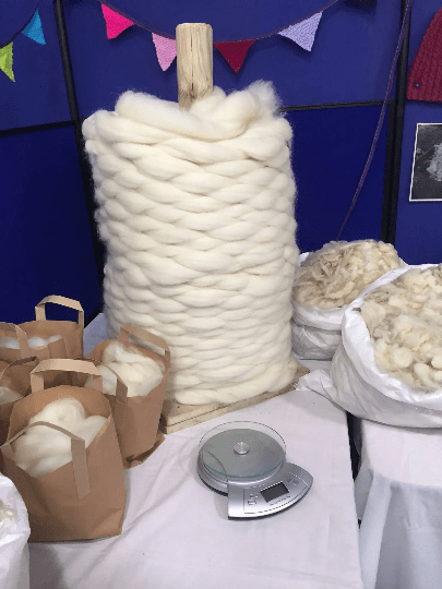 Border Leicester tops 500g, beautiful white prepared tops for spinning, felting and crafting, rare breed