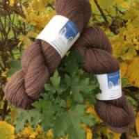 Byland 4ply yarn, warm brown, 300m per skein, slaughter free, rare breed Border Leicester sheep