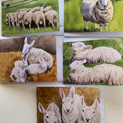 Doulton Flock Greeting cards, one each of 5 designs of Doulton Flock sheep