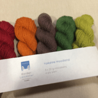 Yorkshire Woodland pack of Autumnal mini skeins. Pack of 5x20g mini skeins of yarn in shades inspired by Yorkshire Woodland - brown, orange, red and greens. Rare breed and slaughter free.