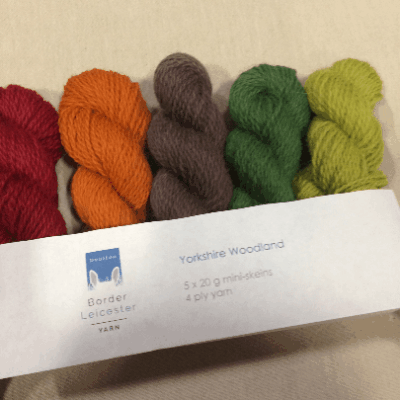 Yorkshire Woodland pack of Autumnal mini skeins. Pack of 5x20g mini skeins of yarn in shades inspired by Yorkshire Woodland - brown, orange, red and greens. Rare breed and slaughter free.