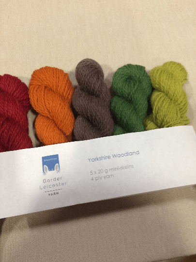 Yorkshire Woodland pack of Autumnal mini skeins. Pack of 5x20g mini skeins of yarn in shades inspired by Yorkshire Woodland - brown, orange, red and greens. Rare breed and slaughter free.