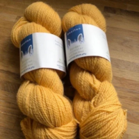 Clay Bank 4ply yarn, mustard shade from slaughter free Border Leicester sheep