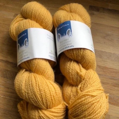 Clay Bank 4ply yarn, mustard shade from slaughter free Border Leicester sheep