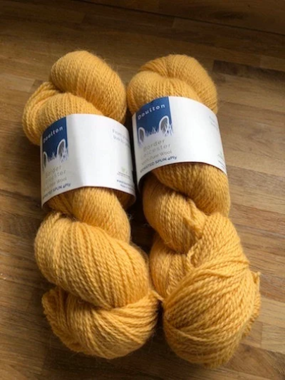 Clay Bank 4ply yarn, mustard shade from slaughter free Border Leicester sheep