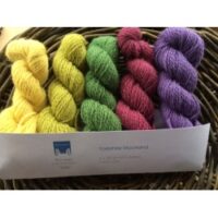 Pack of 5 mini skeins in colours inspired by Yorkshire Moorland - purple, pink, yellow and 2 greens