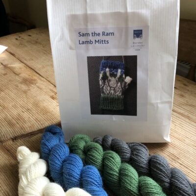 contents of a sam the ram mitts knitting kit
