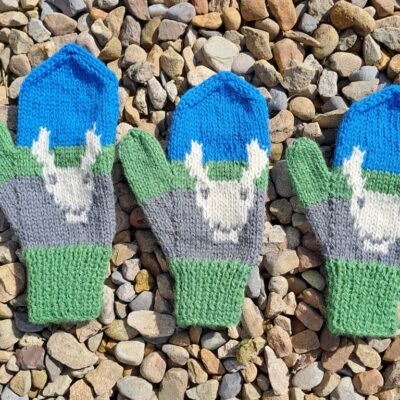 Woolen mitten knitting kit made from border leicester yarn