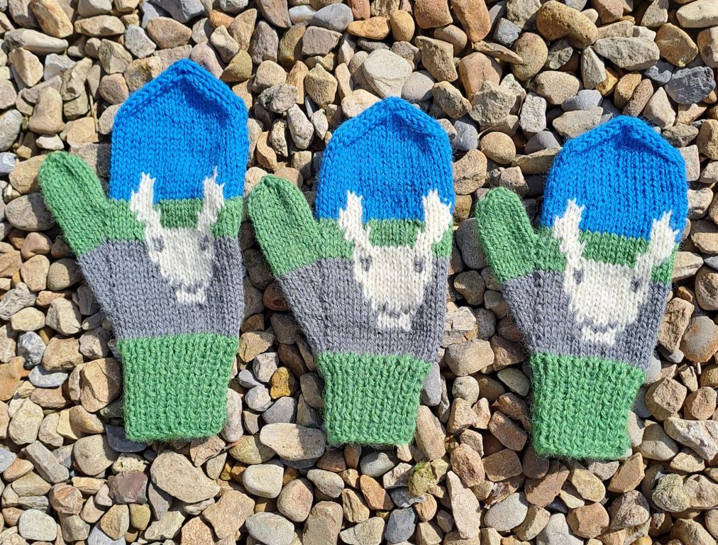 Woolen mitten knitting kit made from border leicester yarn